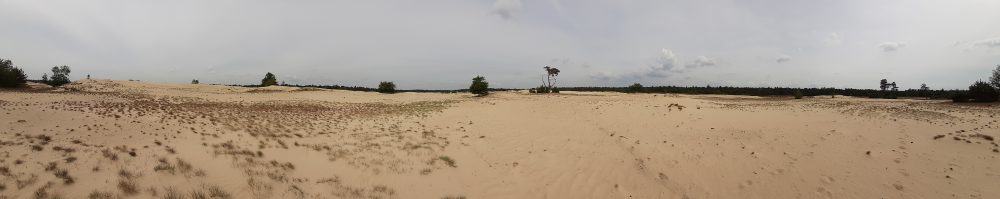 beekhuizer zand zandverstuiving