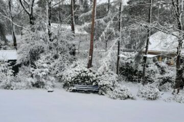 snow in the garden in Ermelo on 31 March 2022