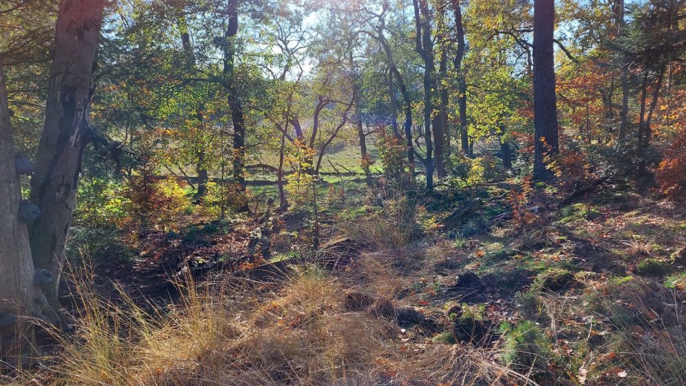 view on Groote Water